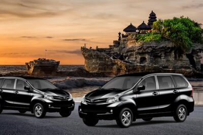 1-Day Private Bali Car Transfer With Experienced Driver - Ubud Day Trips: Temples, Rice Terraces, Waterfalls, and Lunch