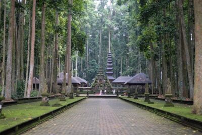 2-Day Private Sightseeing Tour of Bali with Hotel Pickup - Day 1 coffee plantation and Mt. Batur (Kintamani) caldera viewpoint