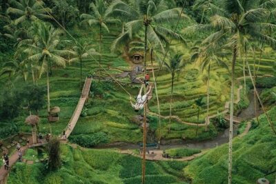 All inclusive Private 3 day tours package : Bali highlights - Day 1: Batuan Temple, art villages, Batur Volcano, and Ubud monkeys