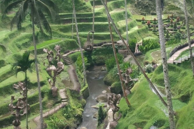Bali Benoa Shore Excursion for cruise's passenger - All Inclusive - Tegalalang Rice Terrace: why subak irrigation matters