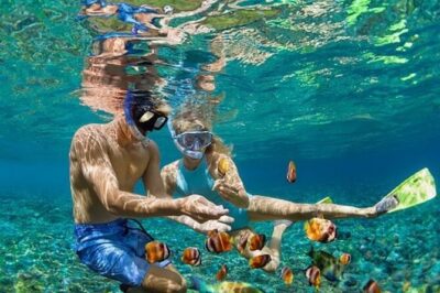 Bali Blue Lagoon Snorkeling - Lunch and Transport All Inclusive - Pickup and road time: how to time your expectations from Seminyak