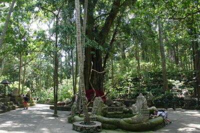 Bali Full-Day Traditional Village Sightseeing Trip All Inclusive - Ubud Art Market and Palace Stops: Culture With Extra Time for Wandering