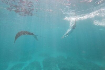 Bali Nusa Penida and Private Snorkeling (Manta Bay, Gamat, Wall) - Meeting at 6:30am and getting to Sanur without stress