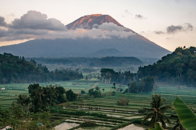 Bali Private Car Charter with English Speaking Driver - Key things that make this Bali car charter worth it