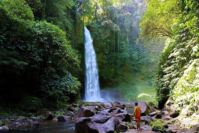 Bali Private Car Charter with English Speaking Driver - Price and what $25 per person really means in practice