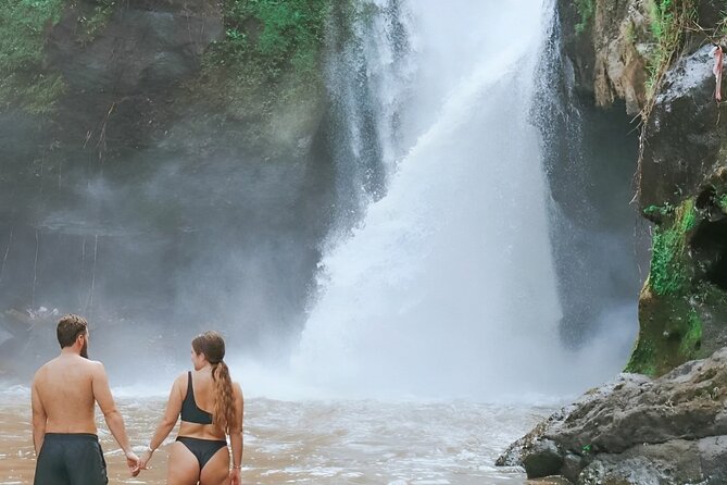 Bali Shore Excursions : Best of Bali Tour - How an English-speaking driver turns stops into a real day