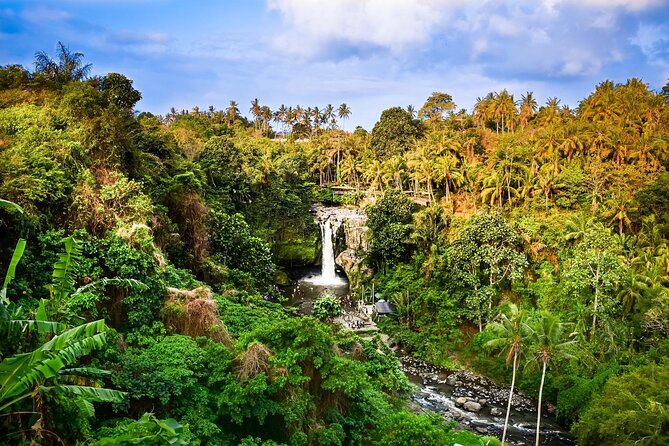 Full-Day Highlights and Best of Ubud Village - Your Day’s Route, In Real-Life Order