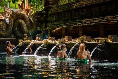 Full-Day Highlights and Best of Ubud Village - Lunch in Ubud Village: Fuel for the Long Afternoon