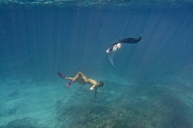 Nusa Penida day trip: boat, 4 snorkeling, Manta rays & Land tour - Kelingking Beach cliff time: iconic photos, quick walking, private-car comfort