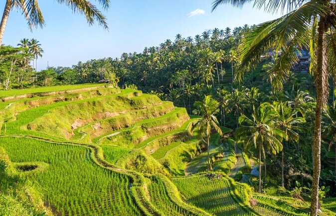 Private 3-day Tour Package: Bali's Top Sights - Key reasons this 3-day Bali tour works so well