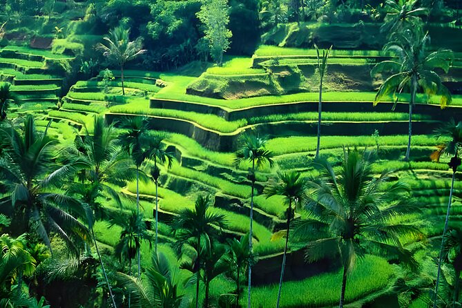 Private Half-Day Tour: The Best Ubud Half Day Trip Packages - The Temple and Gold-and-Silversmith Pass-By: Why the Drive Still Feels Useful