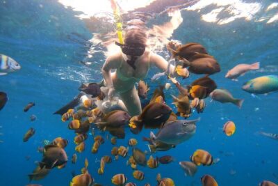 Snorkeling In Nusa Penida Island With Manta Ray From Bali - Seminyak to Sanur to Nusa Penida: The Morning Logistics That Make or Break the Day