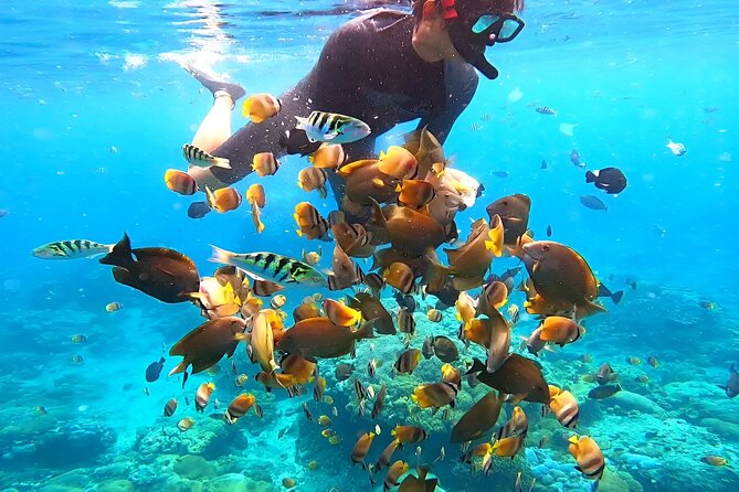 Snorkeling In Nusa Penida Island With Manta Ray From Bali - What’s Included (and What Isn’t) for Your Comfort