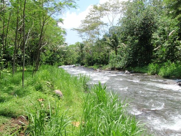 Telaga Waja River Rafting Bali & Zipline (Less Stairs) - The Less-Stairs Design and Why It’s a Big Deal with Wet Gear