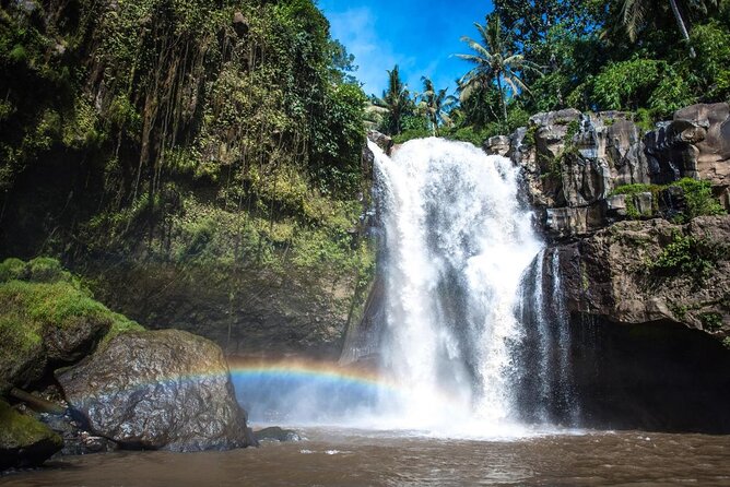 Ubud Hot Springs and Waterfall Private Guided Tour - Key Points at a Glance