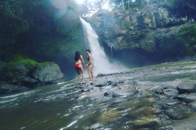 Ubud Hot Springs and Waterfall Private Guided Tour - Price and logistics: where the real value shows up