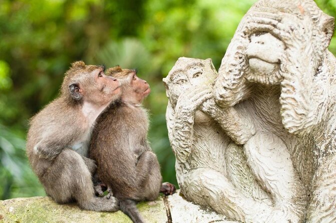 Ubud: Swing - Monkey Forest - Waterfall - Temple - Rice Terraces - Art Crafts - The Big Idea: Why This Ubud Day Feels Like a Smart Shortcut