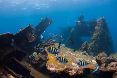 USS Liberty Shipwreck Scuba Diving at Tulamben Bali - Price and Value: What $109.50 Really Buys You
