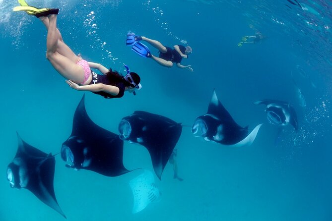 VIP Private Boat to Nusa Penida: Snorkeling with Mantas + Land Tour Adventure - Kelingking Cliff: the iconic viewpoint (and the walk mindset)